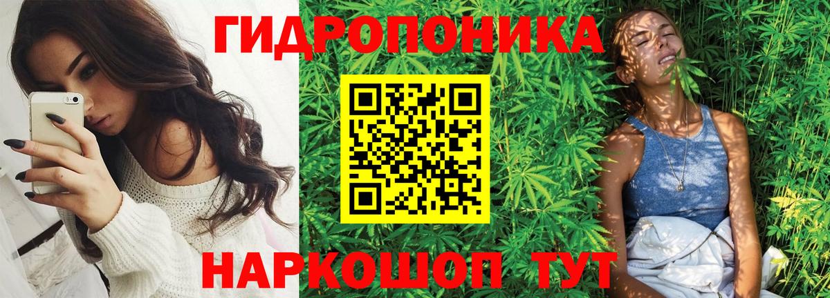 Марихуана LSD WEED  Шишки марихуана индика  Кисловодск  Конопля VHQ  Вход с VPN 